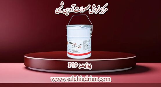 پرایمر پی 19